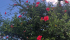 WhatsApp Image 2026-05-29 at 10.31.05 (3).jpeg